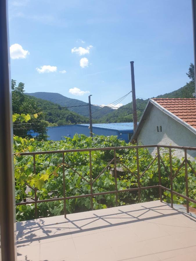 Casa Dina Hotel Băile Herculane Eksteriør billede